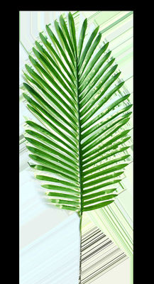 Artificial Leaves Man Made Fake Leaves PALM Injection Molding Machine
